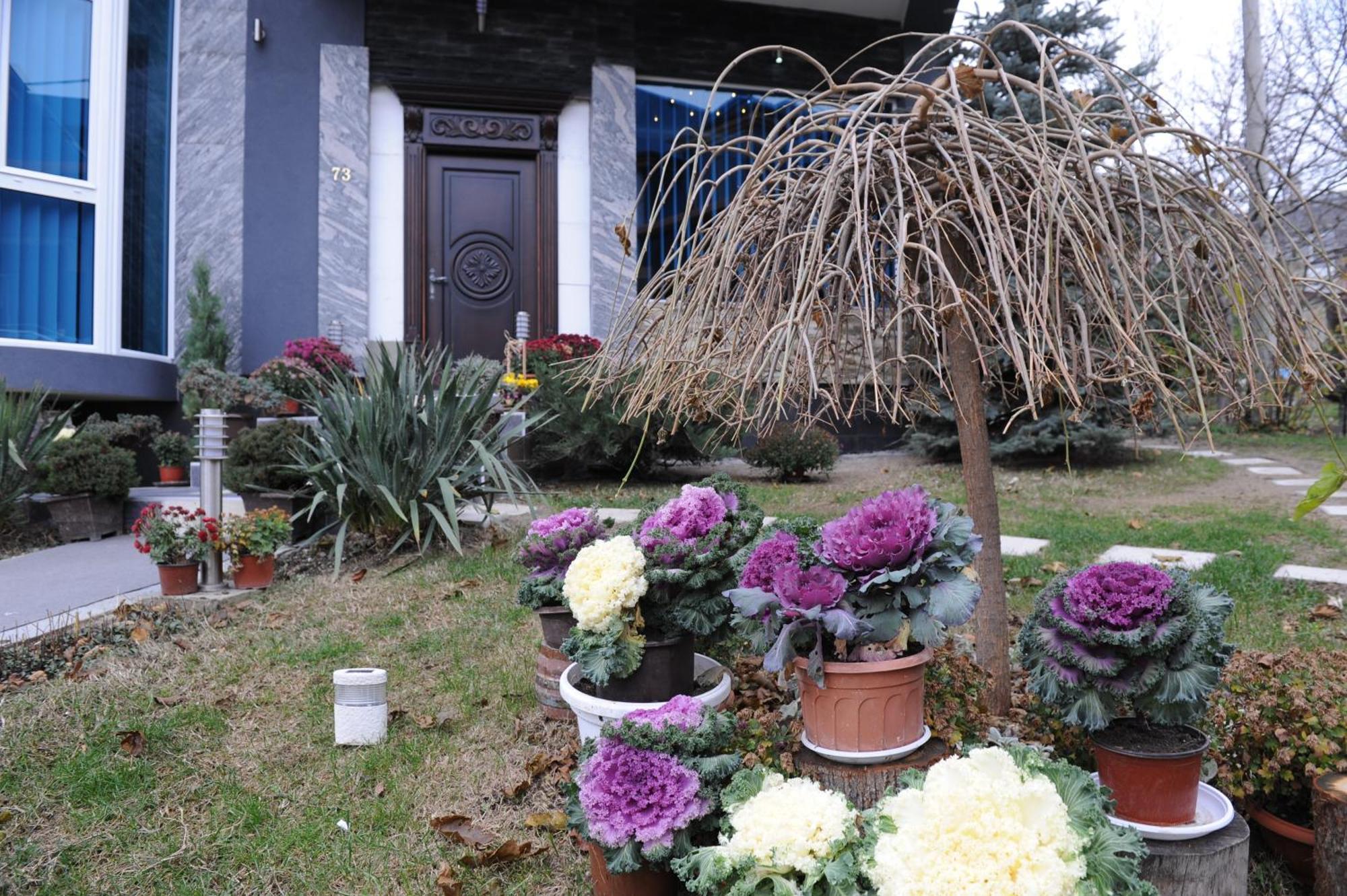 Garni Hotel Lama Kragujevac Extérieur photo